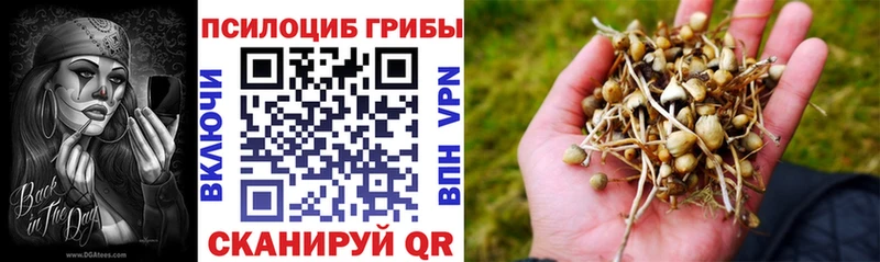 Галлюциногенные грибы MAGIC MUSHROOMS  Бабушкин 